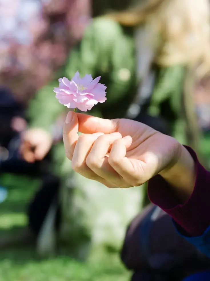 Premium photo 1683319303568 6615bc6e4b15